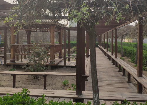 鐵路技校春天的景色 校園環(huán)境 第4張